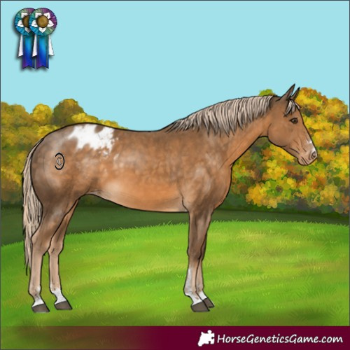 Horse Color:Chocolate Palomino Varnish 
