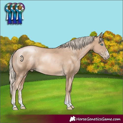 Horse Color:Chocolate Palomino Pearl 