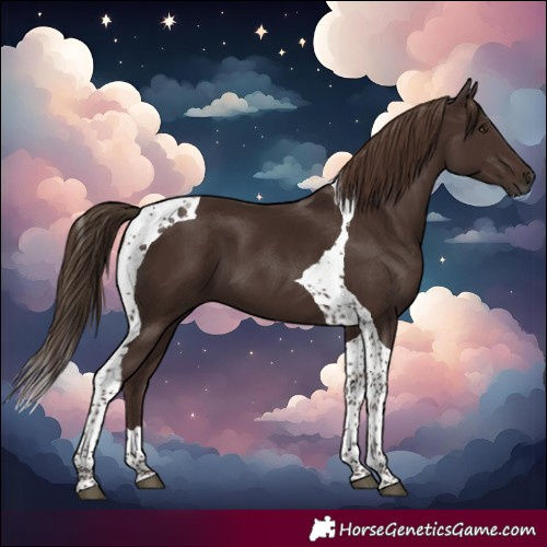 Horse Color:Liver Chestnut Tobiano