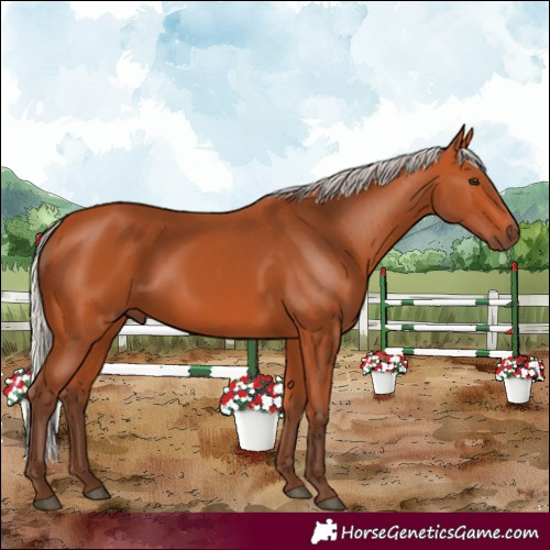 Horse Color:Silver Bay