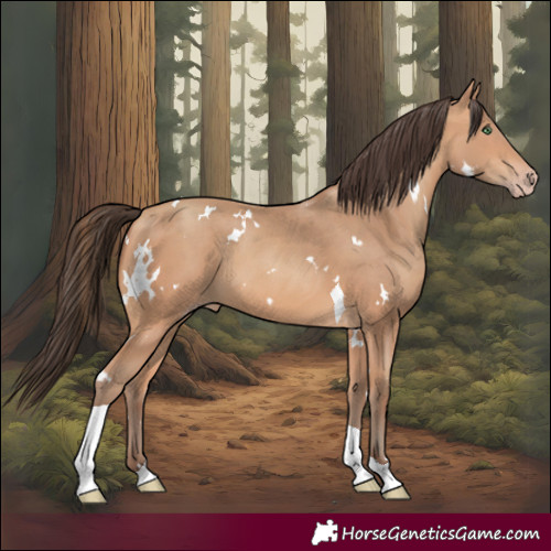 Horse Color:White Spotted Amber Champagne Tobiano 