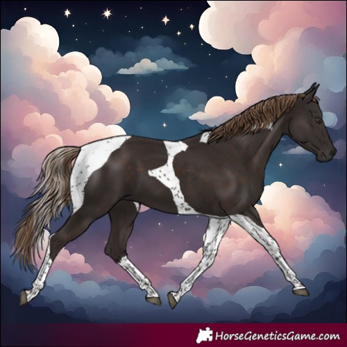 Horse Color:Liver Chestnut Tobiano 