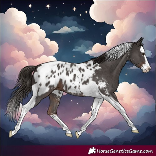Horse Color:Liver Chestnut Sabino Splash Tobiano Blanket 