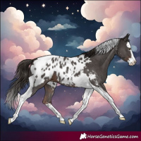 Horse Color:Liver Chestnut Sabino Splash Tobiano Blanket 