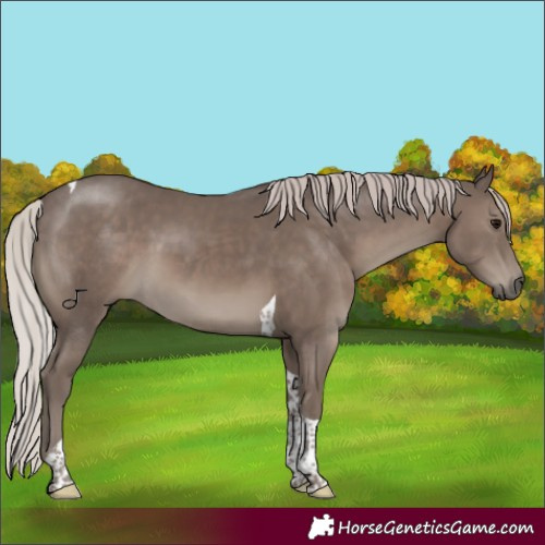 Horse Color:Silver Black Tobiano 