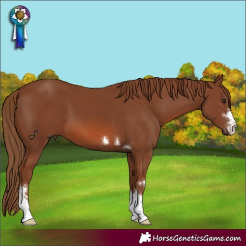 Horse Color:Chestnut 