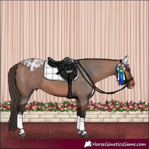 Horse Color:Bay Sabino Tobiano Varnish 