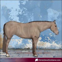 Horse Color:Classic Champagne 