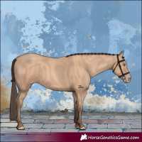 Horse Color:Amber Champagne 