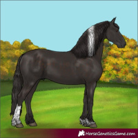 Horse Color:Liver Chestnut Tobiano 
