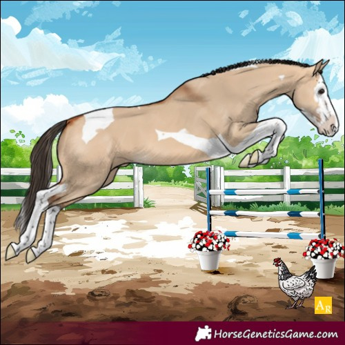 Horse Color:Unknown 