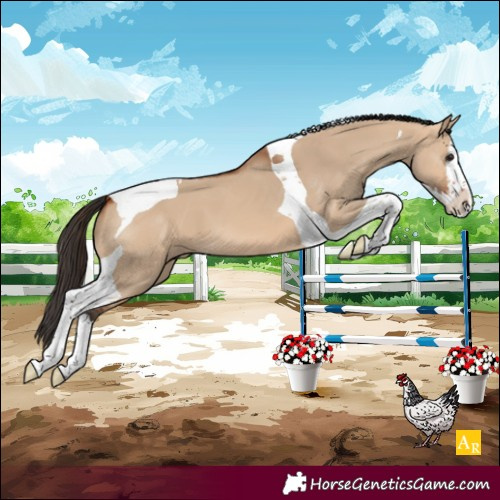 Horse Color:Bay Dun Splash Tobiano