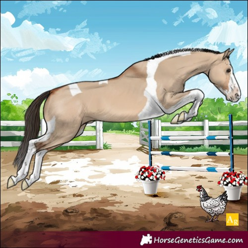 Horse Color:Unknown 