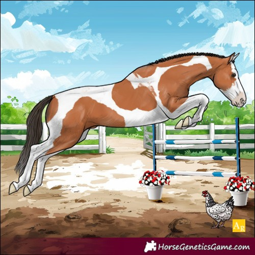 Horse Color:Unknown 