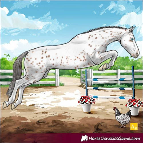 Horse Color:Unknown 
