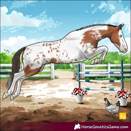 Horse Color:Bay Splash Tobiano Blanket 