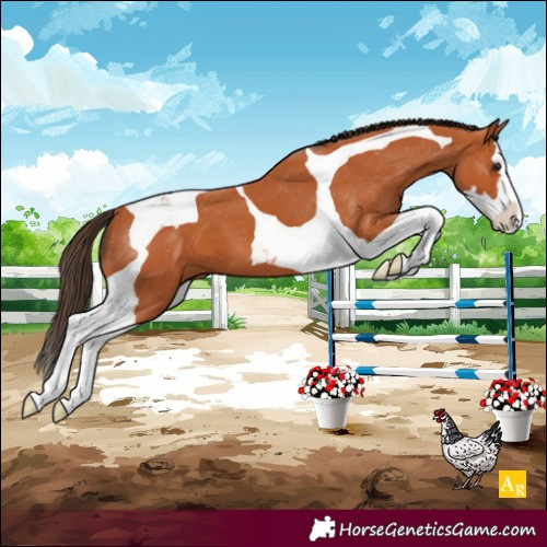 Horse Color:Bay Splash Tobiano Varnish 