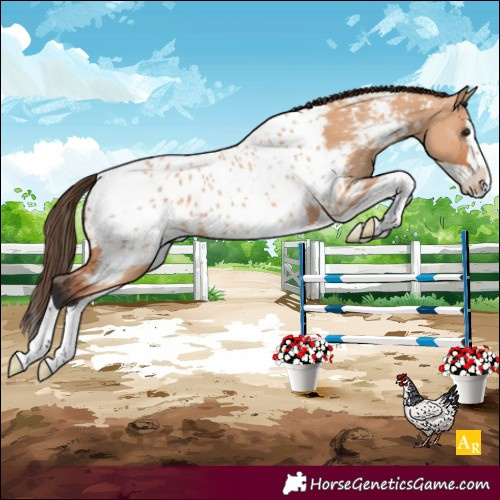 Horse Color:Unknown 