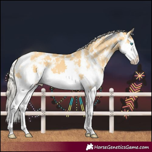 Horse Color:Gold Cream Champagne Sabino Splash 