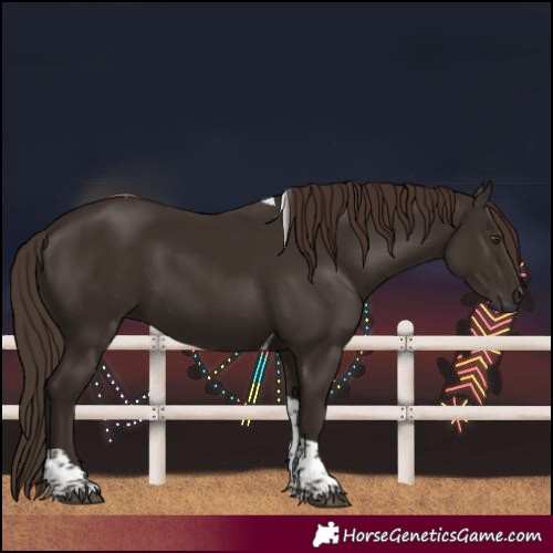 Horse Color:Liver Chestnut Tobiano