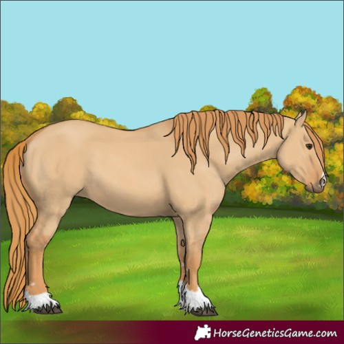 Horse Color:Red Dun