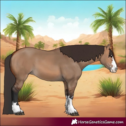 Horse Color:Bay Dun