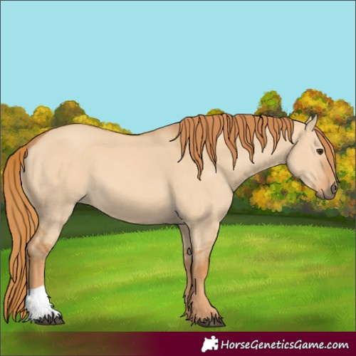 Horse Color:Red Dun