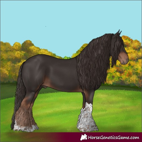 Horse Color:Liver Chestnut Tobiano 