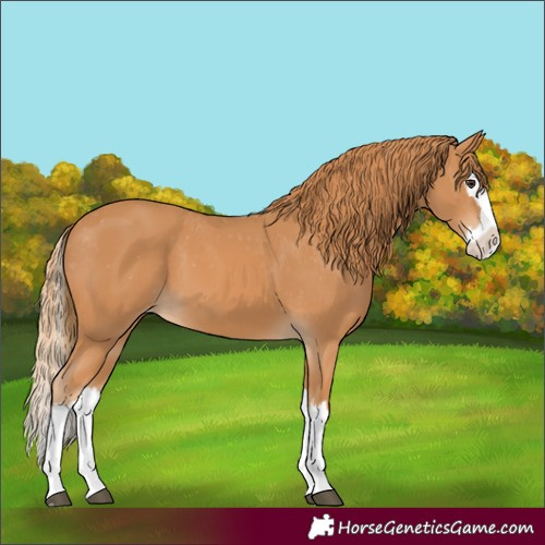 Horse Color:Chestnut Splash Varnish