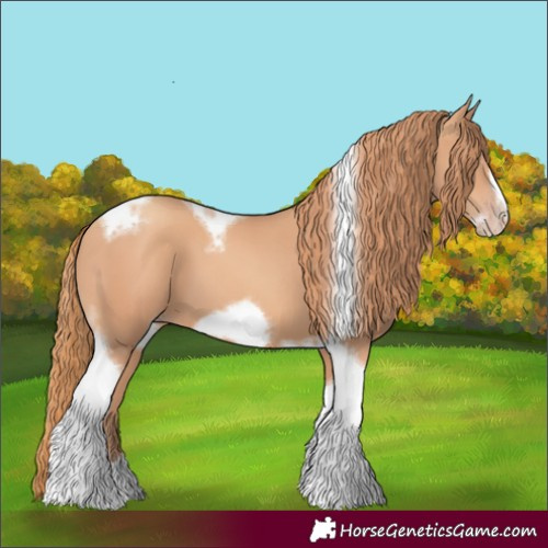 Horse Color:Gold Champagne Tobiano Frame 