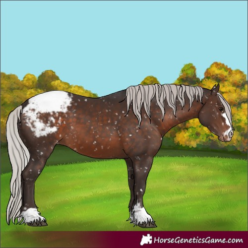 Horse Color:Silver Brown Snowcap 