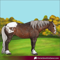 Horse Color:Silver Brown Snowcap