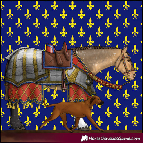 Horse Color:Buckskin Dun Sabino Appaloosa
