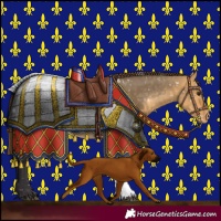 Horse Color:Buckskin Dun Sabino Appaloosa 