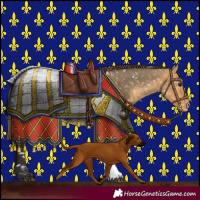 Horse Color:Buckskin Dun Sabino Blanket