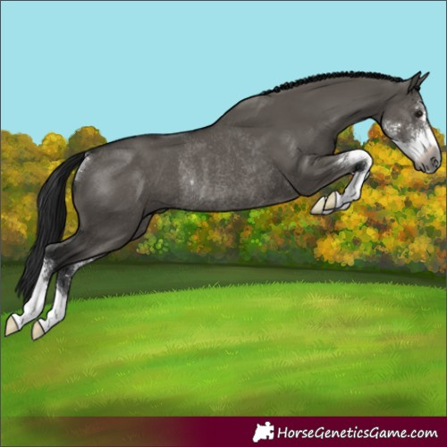 Horse Color:Gray Grullo Sabino Rabicano 