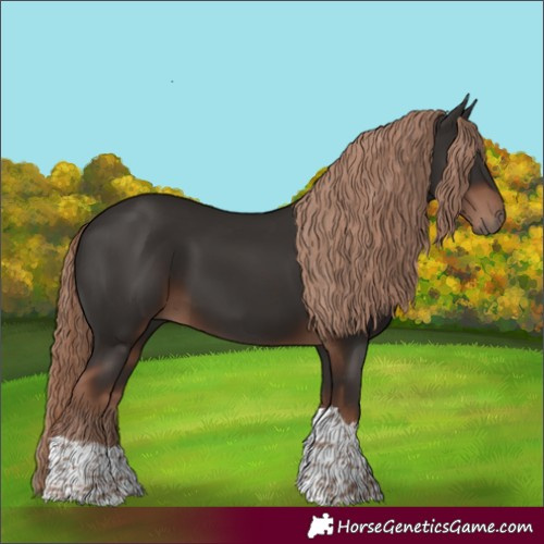Horse Color:Liver Chestnut Tobiano 