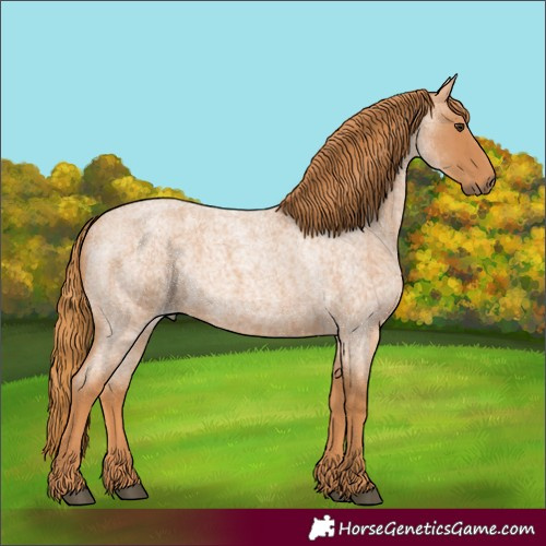 Horse Color:Red Roan