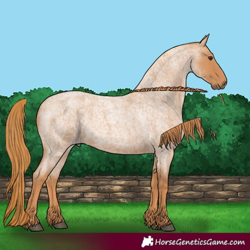 Horse Color:Red Roan 