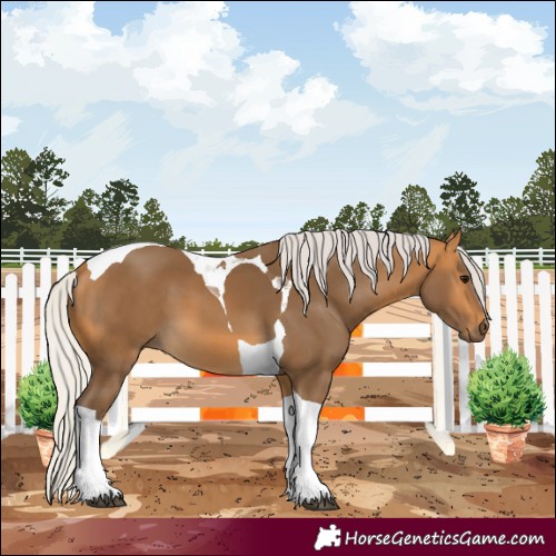 Horse Color:Silver Buckskin Tobiano 