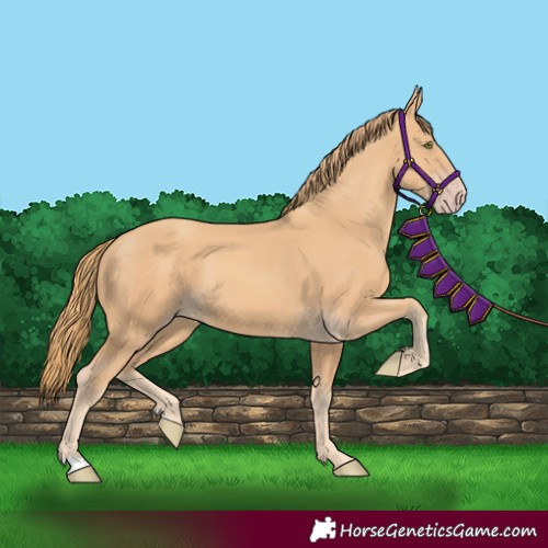 Horse Color:Gold Champagne 