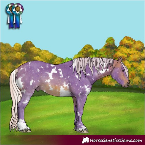 Horse Color:Watercolor White Spotted Silver Brown 