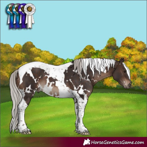 Horse Color:White Spotted Silver Brown Tobiano