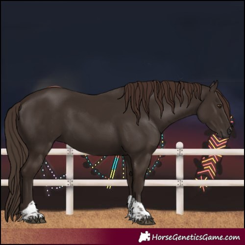 Horse Color:Liver Chestnut Tobiano 