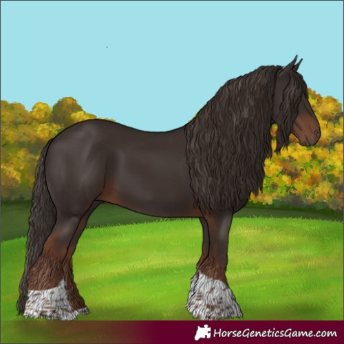 Horse Color:Liver Chestnut Tobiano
