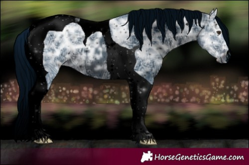 Horse Color:ERROR: UNKNOWN ANOMALY