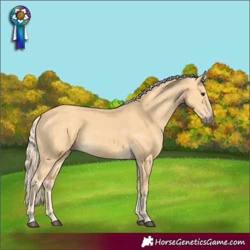 Horse Color:Palomino 