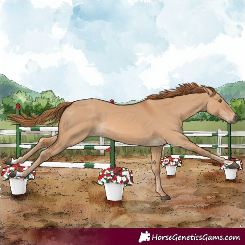 Horse Color:Red Dun 