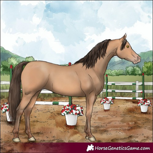 Horse Color:Amber Champagne 
