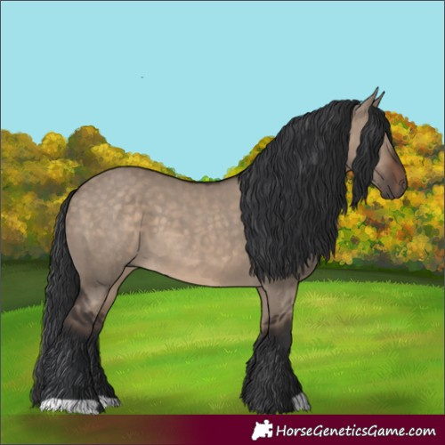 Horse Color:Brown Dun 